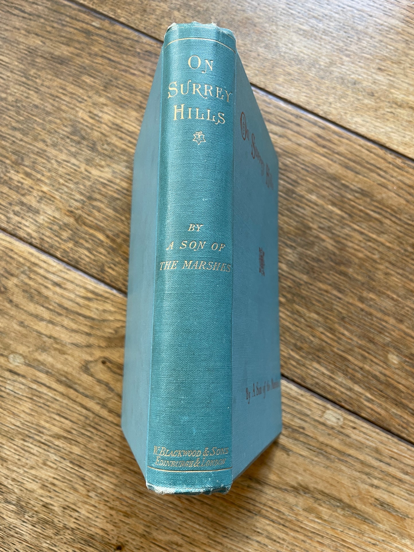 On Surrey Hills by A Son of the Marshes - (Denham Jordan)