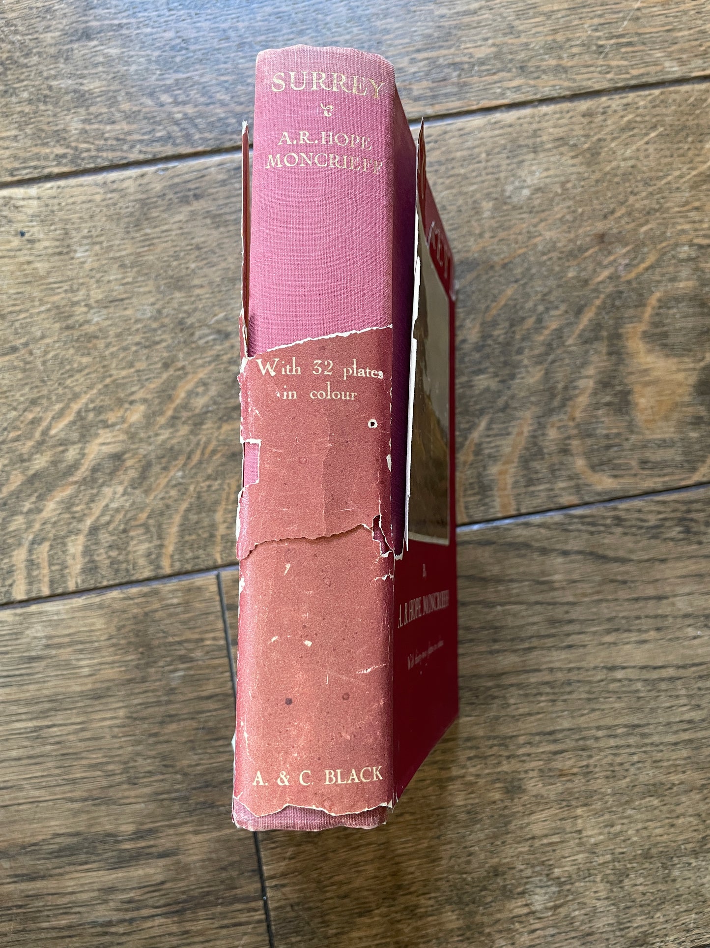 Surrey by A. R. Hope Moncrieff. Illustrated by Sutton Palmer