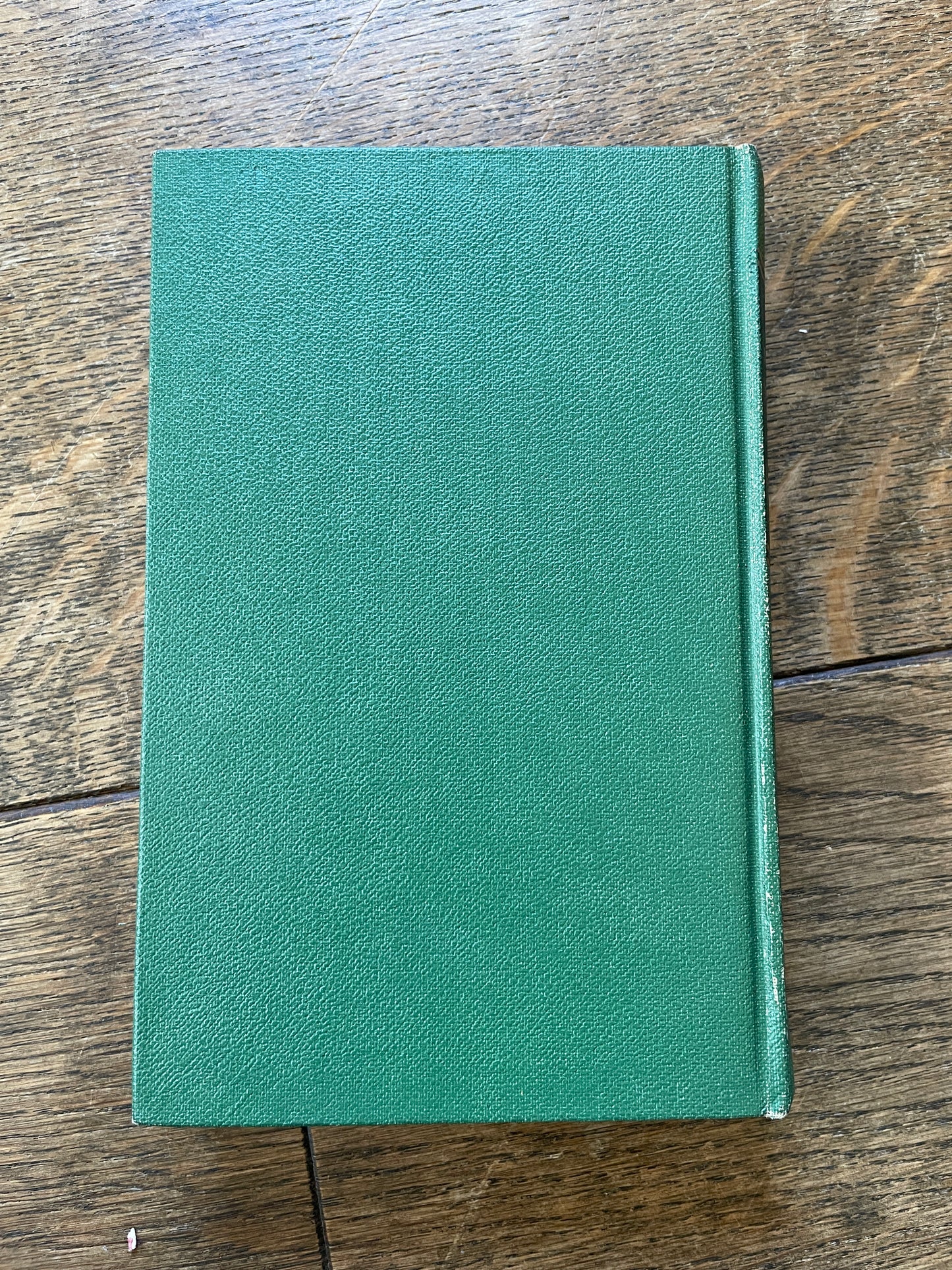 A Detective in Surrey by Donald Maxwell