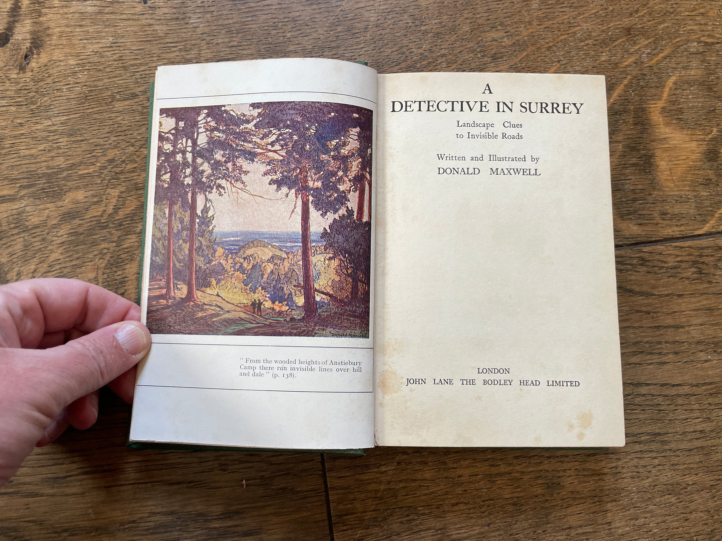 A Detective in Surrey by Donald Maxwell