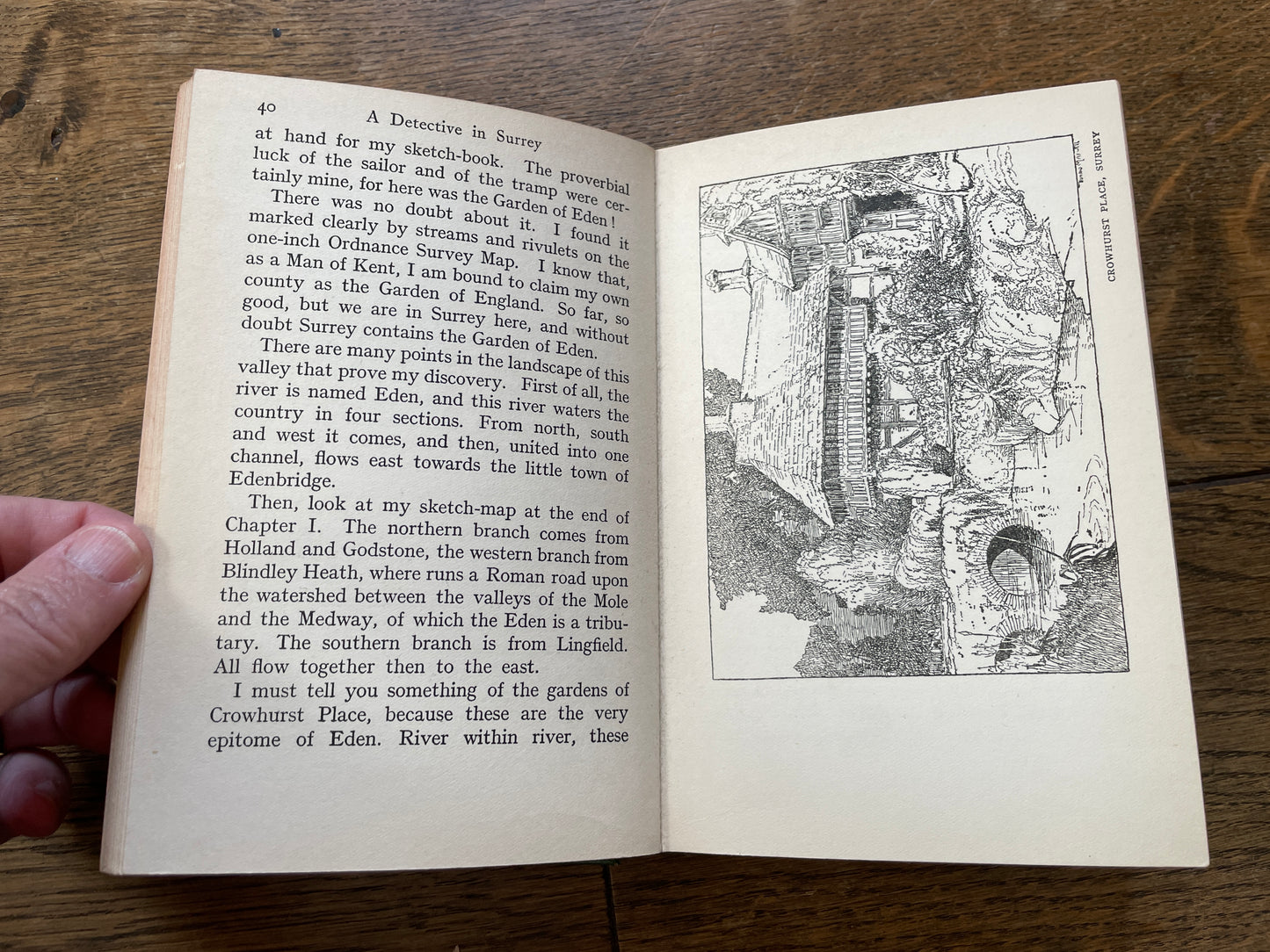 A Detective in Surrey by Donald Maxwell