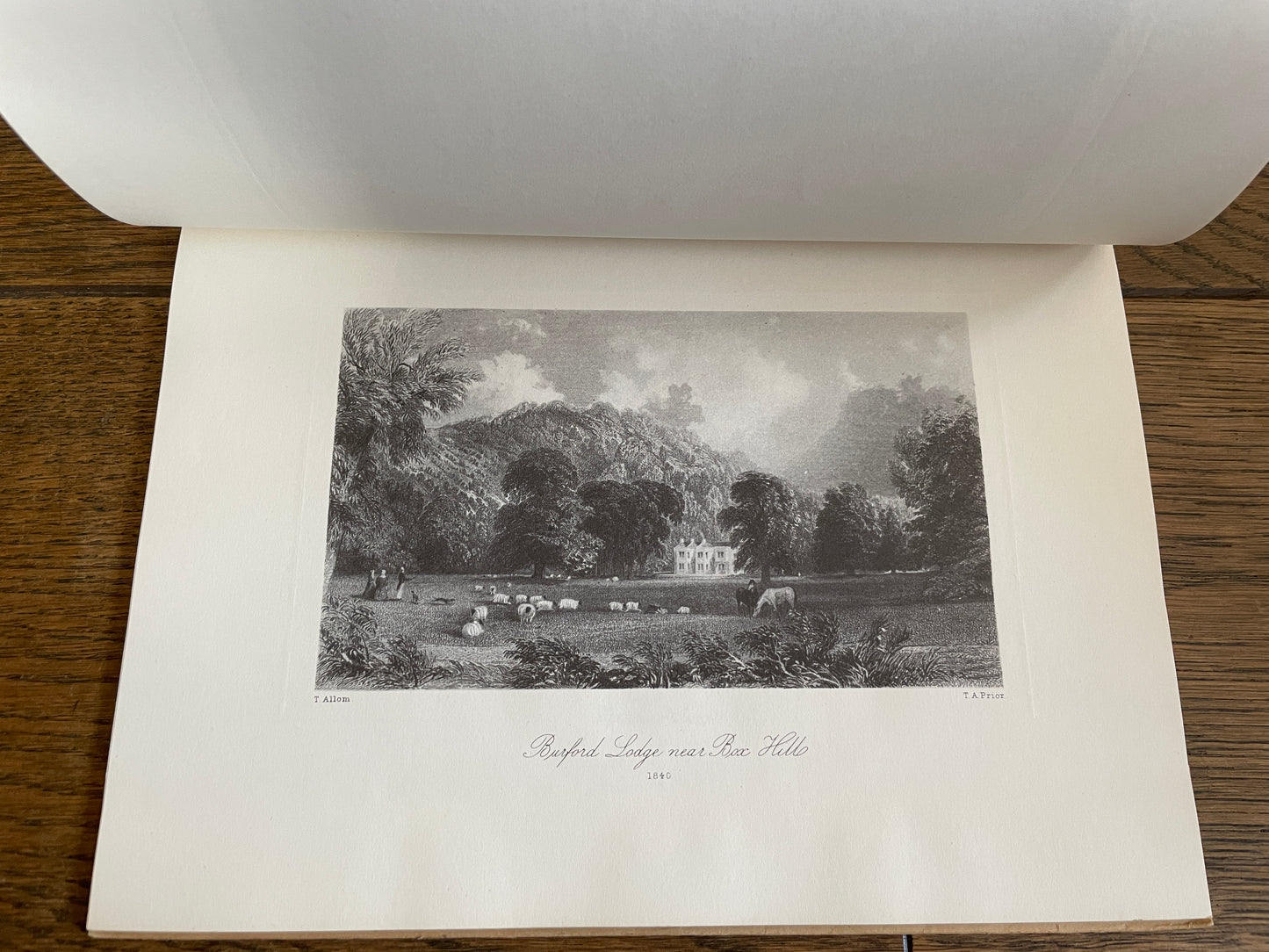 Surrey by Charles W. Traylen