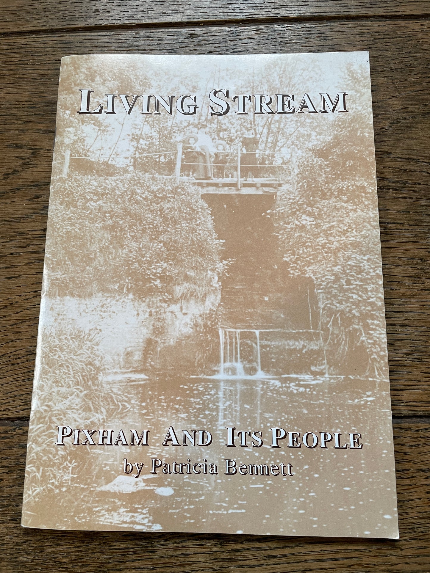 The Living Stream - Pixham and its People by Patricia Bennett
