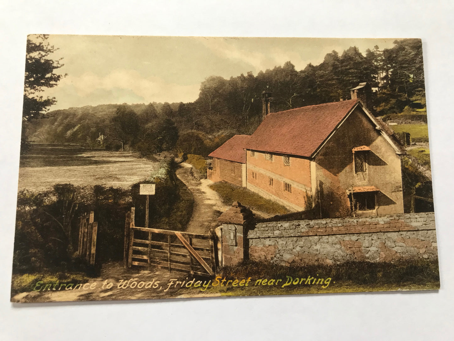 Friday Street - Vintage Colourised Postcard of Entrance to Woods