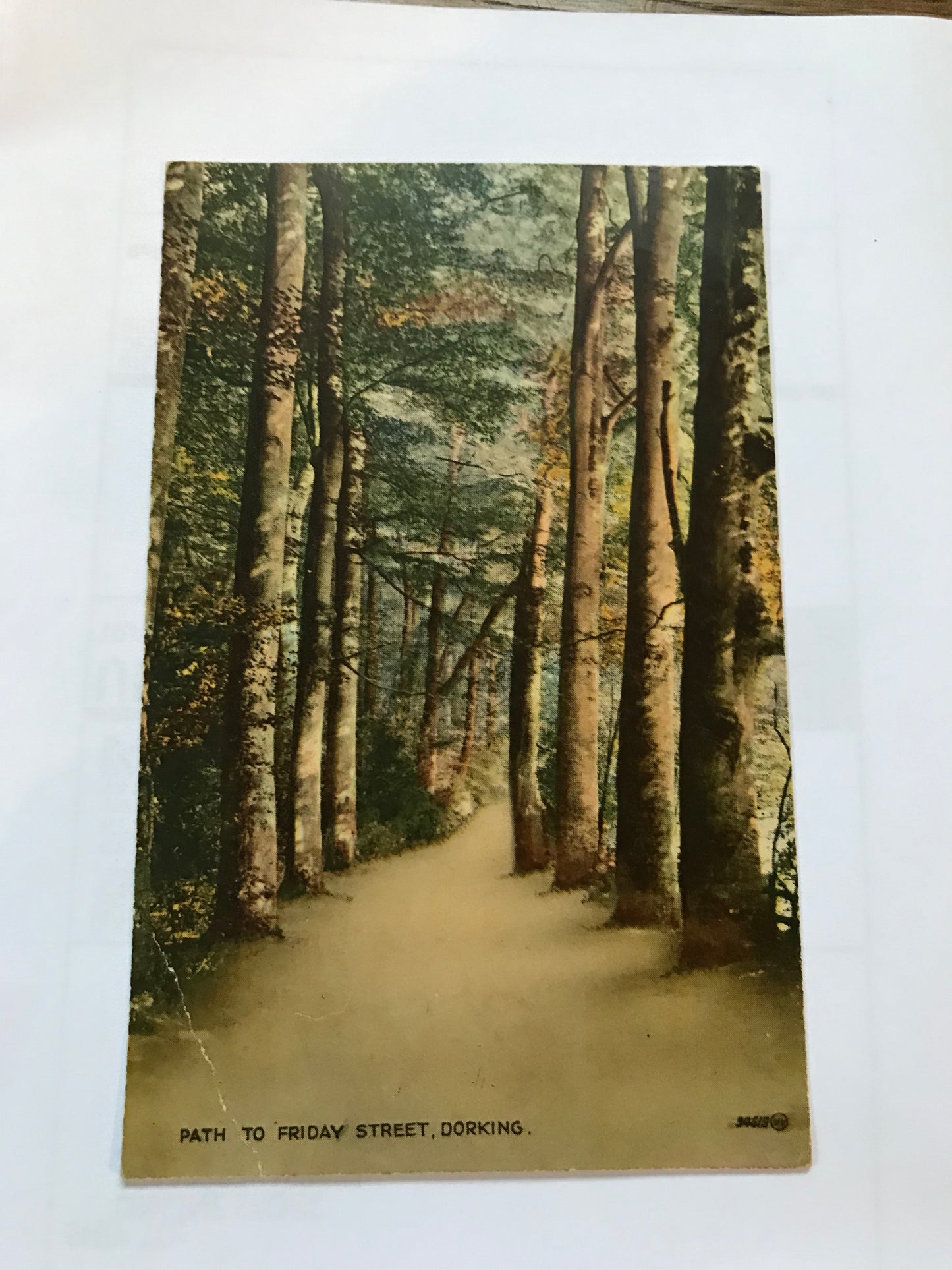 Friday Street - Vintage Colourised Postcard of the Path to Friday Street