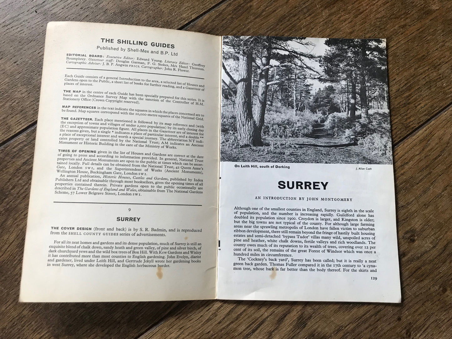 The Shilling Guide to Surrey