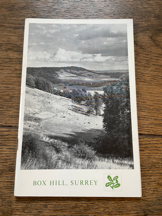 Box Hill, Surrey by G. E. Hutchings