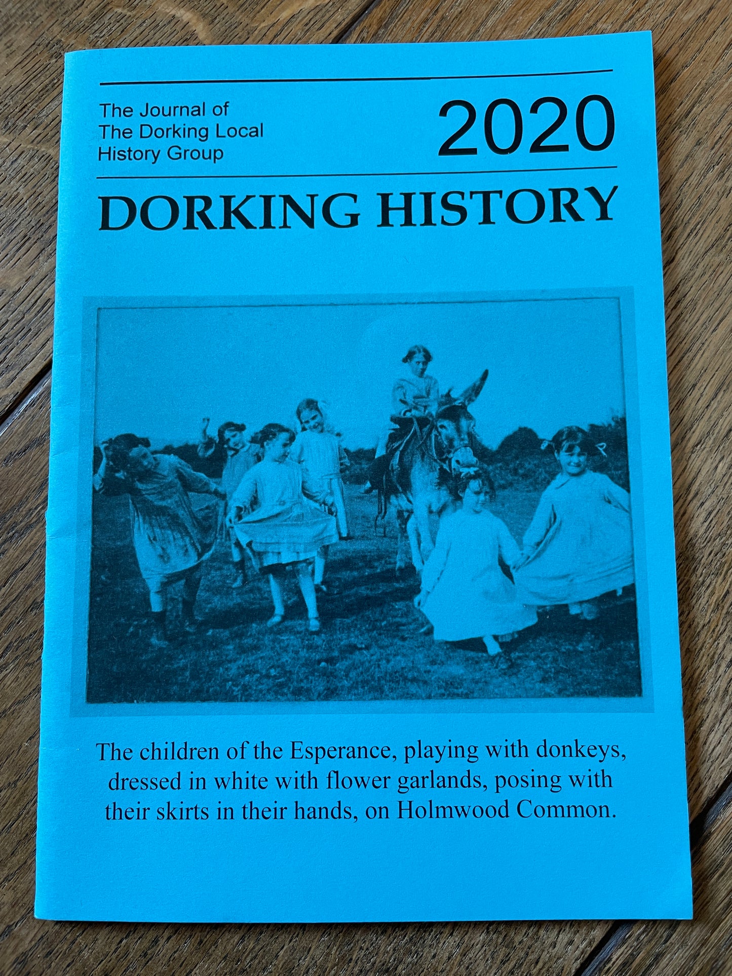 Dorking History 2020