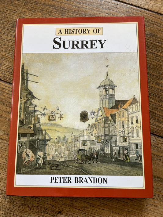 A History of Surrey by Peter Brandon