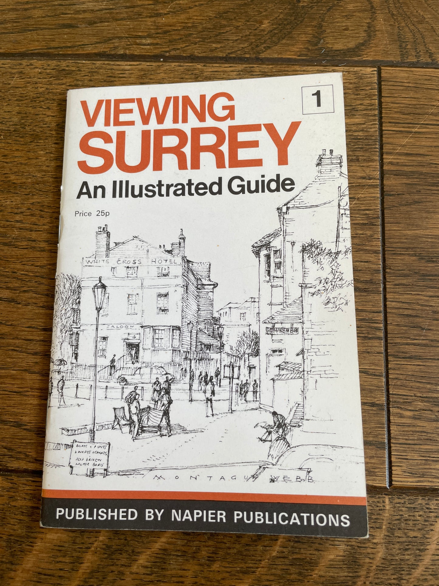 Viewing Surrey - An Illustrated Guide