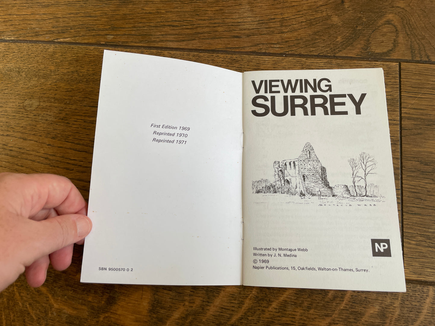 Viewing Surrey - An Illustrated Guide