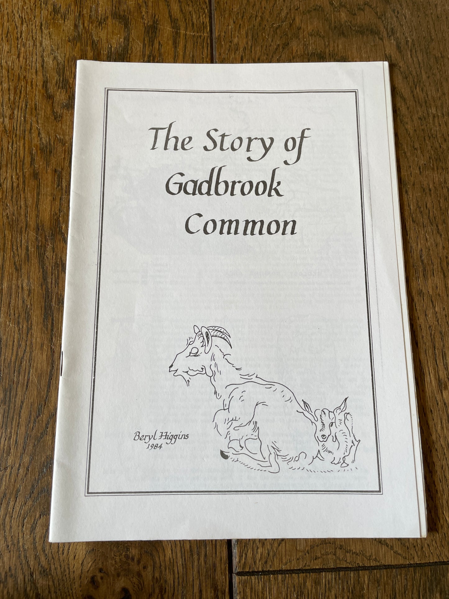 Story of Gadbrook Common by Beryl Higgins