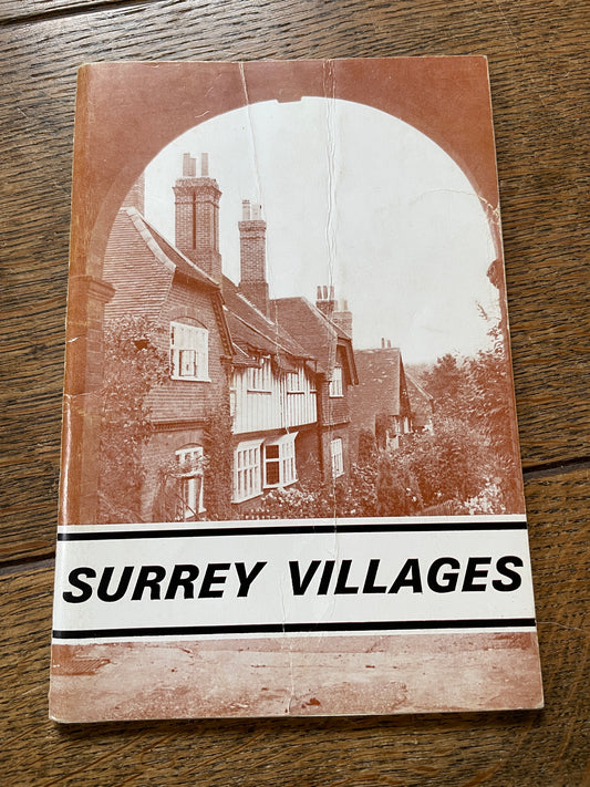 Surrey Villages by Pamela Edwards