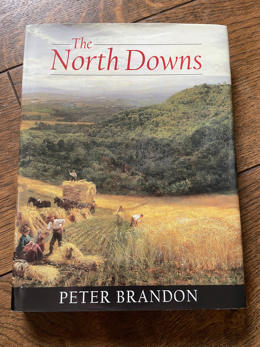 The North Downs by Peter Brandon