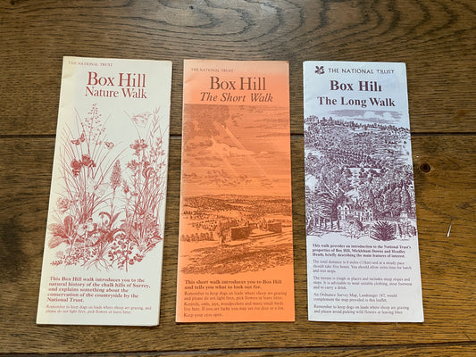 Three Walks around Boxhill
