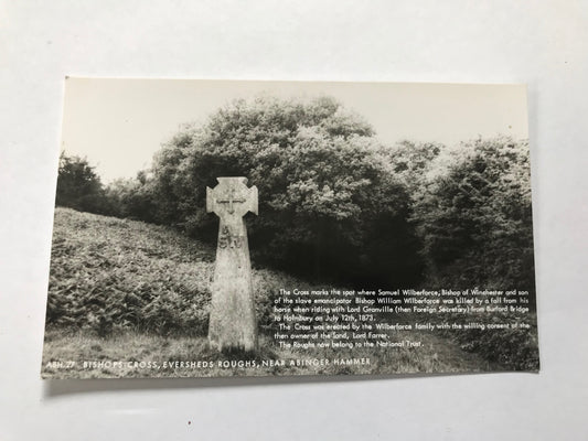 Vintage Frith's Postcard of Bishop's Cross, Abinger Roughs