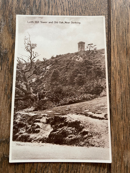 Vintage Black and White Postcard of Leith Hill Tower and Old Oak