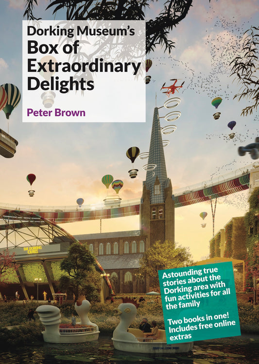Dorking Museum's Box of Extraordinary Delights by Peter Brown