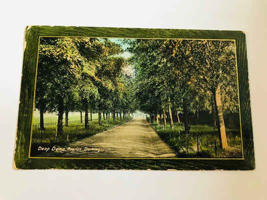 Vintage Valentine's Series Postcard of Deepdene Avenue