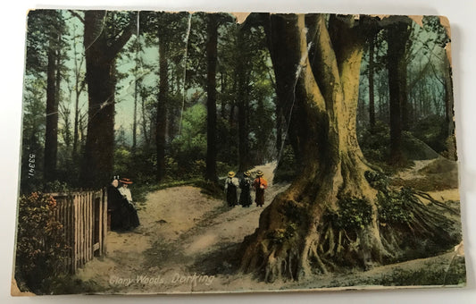 Vintage Frith's postcard of the Glory Woods, Dorking