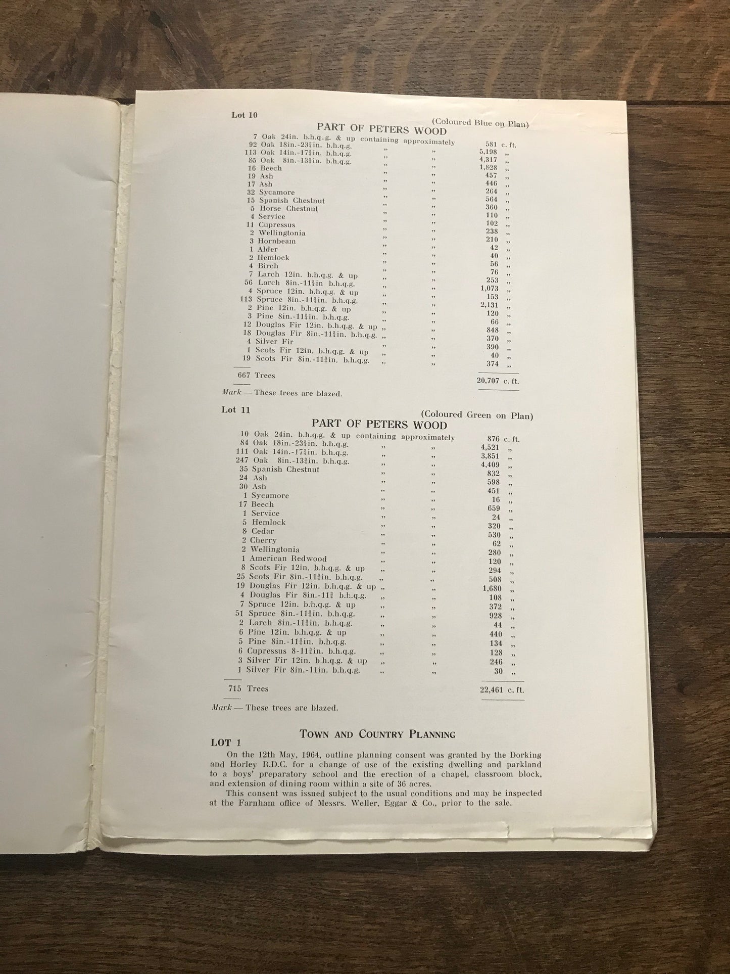 Grenehurst Park, Capel, Surrey 1964 Sales Particulars