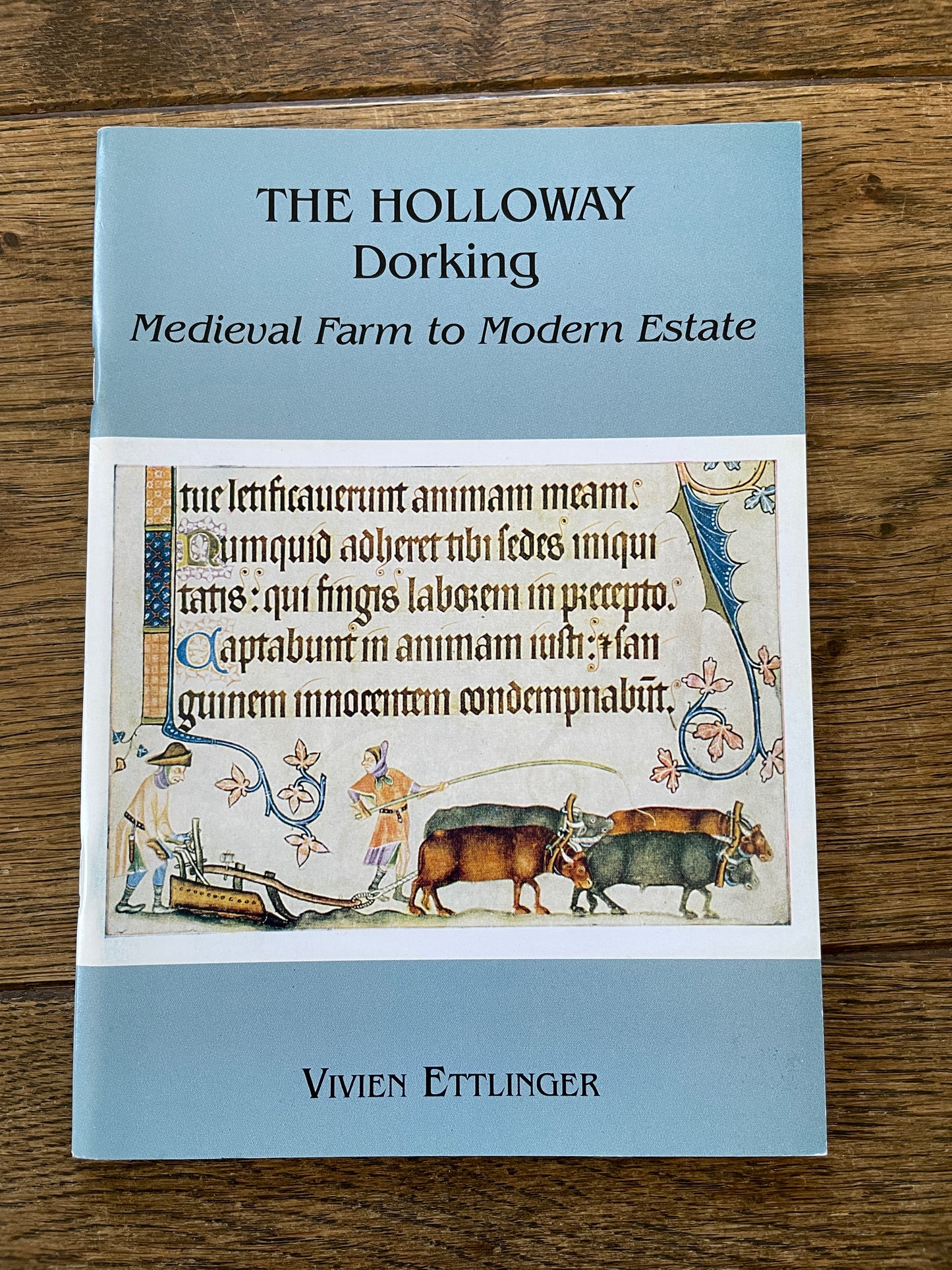 Vintage The Holloway Dorking by Vivien Ettlinger