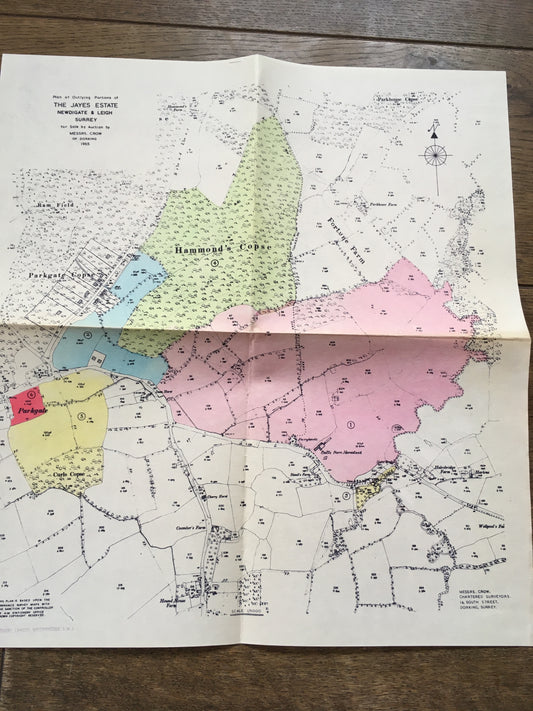 Map of the Jayes Estate, Newdigate and Leigh 1965 Sales Particulars
