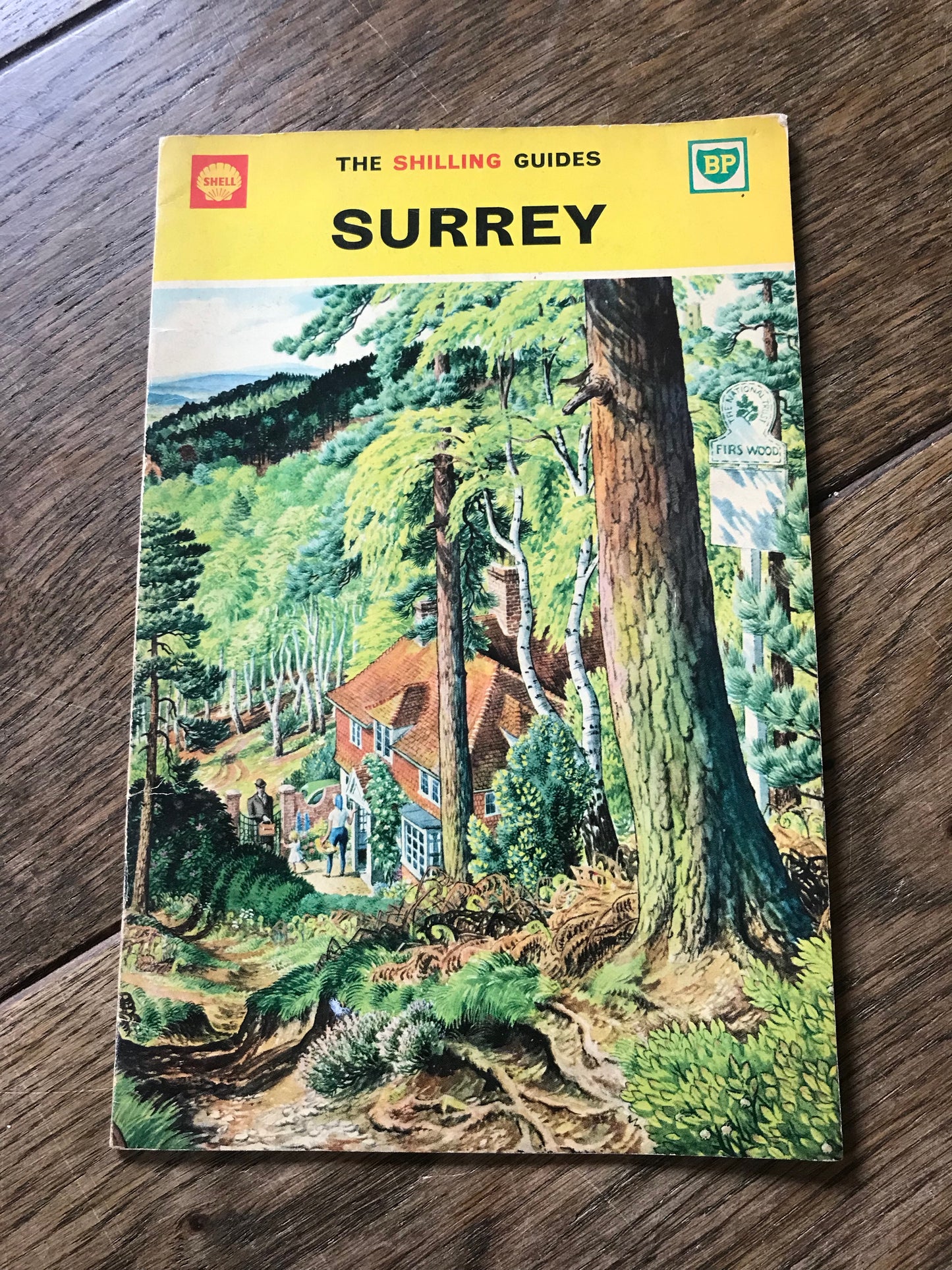 The Shilling Guide to Surrey