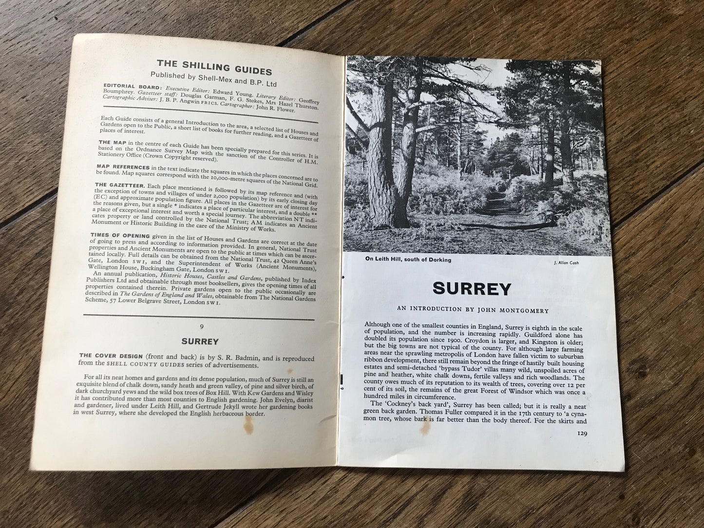The Shilling Guide to Surrey