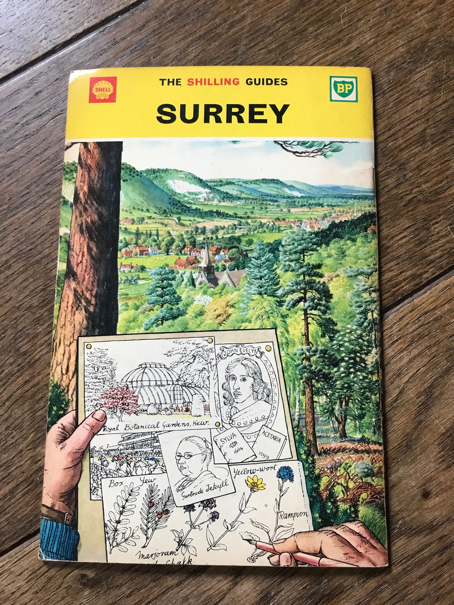 The Shilling Guide to Surrey