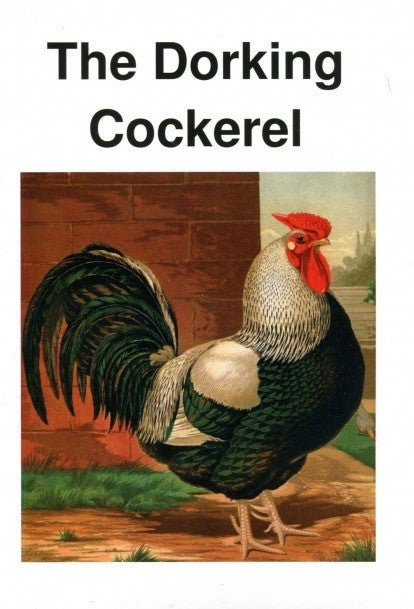 Dorking Cockerel by David Burton
