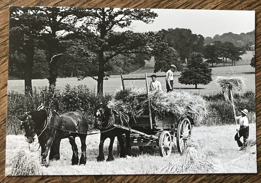 Postcard of "Summer Days Gone By" from the Slopes of Leith Hill Place